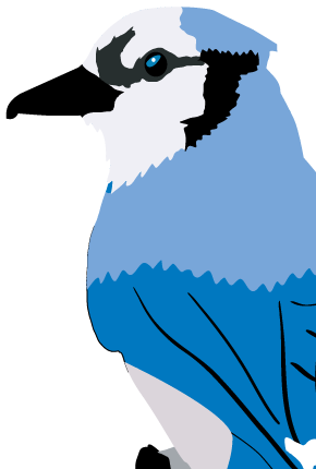 Understanding How To Cook Healthier